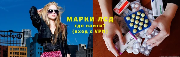 соль ск Инсар