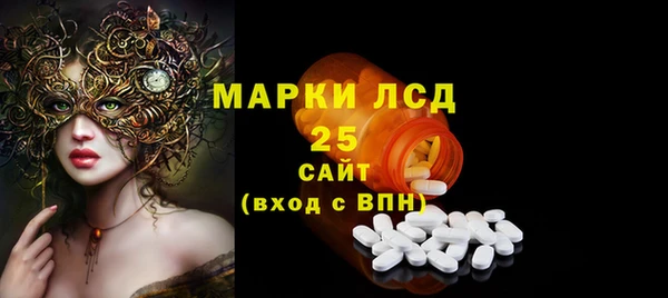 соль ск Инсар