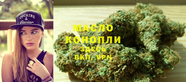 соль ск Инсар