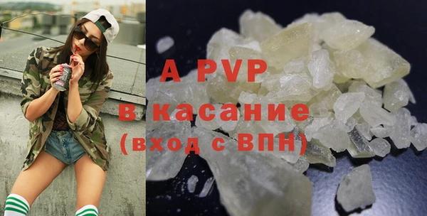 соль ск Инсар