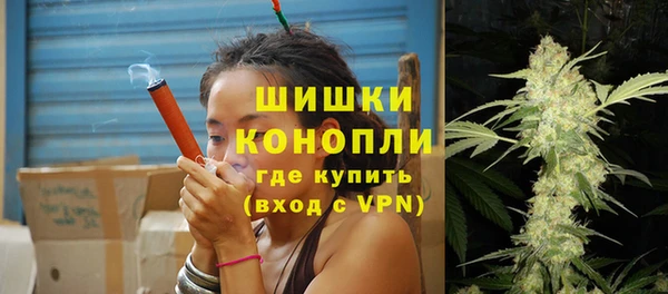 соль ск Инсар