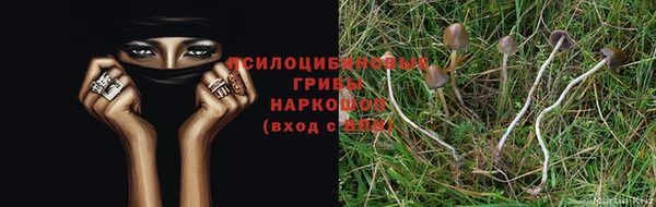 соль ск Инсар