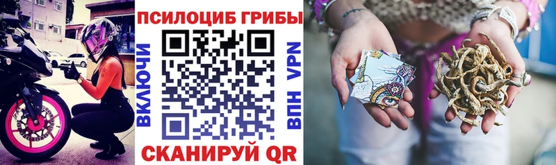 Купить где  Оха  Псилоцибиновые грибы Psilocybine cubensis 